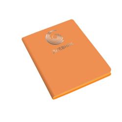 Дневник школьный с универсальным блоком Silver Lines. Оранжевый