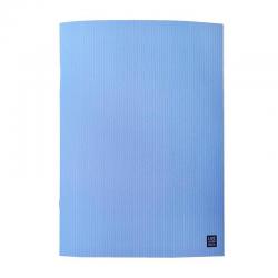 Бизнес-тетрадь Color, А5, 40 листов, клетка, голубой