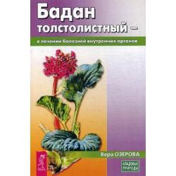 Бадан толстолистный - в лечении болезней внутренних органов