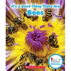 Its a Good Thing There Are Bees