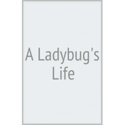 A Ladybugs Life