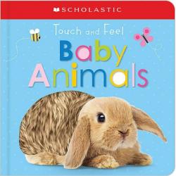 Touch And Feel Baby Animals