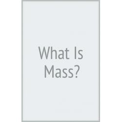 What Is Mass?