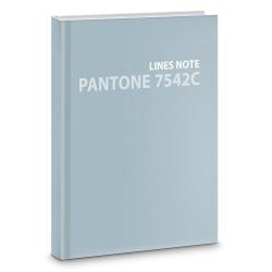 Евротетрадь Pantone line. Color 21. No. 1, А5+, 96 листов, линия