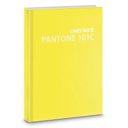 Евротетрадь Pantone line. Color 21. No. 3, А5, 96 листов, линия