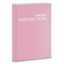 Евротетрадь Pantone line. No. 4, А5+, 96 листов, линия