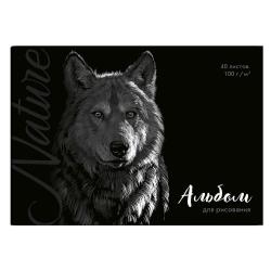 Альбом для рисования Волк, A4, 40 листов