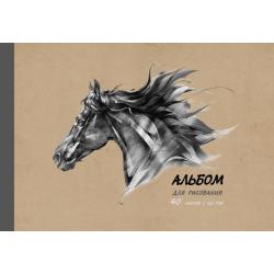 Альбом для рисования Вороной конь, 40 листов