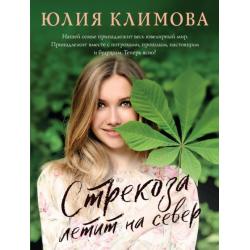 Стрекоза летит на север