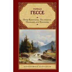 Петер Каменцинд. Под колесом. Последнее лето Клингзора. Душа ребенка. Клейн и Вагнер