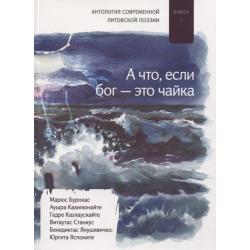 А что если бог - это чайка. Антология современной литовской поэзии. Книга 1