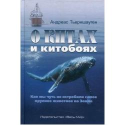 О китах и китобоях. Как мы чуть не истребили самое крупное животное на Земле