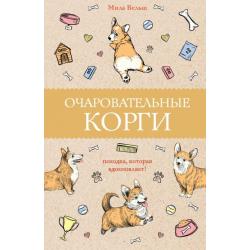 Очаровательные корги. Походка, которая вдохновляет!