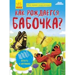 Как рождается бабочка?