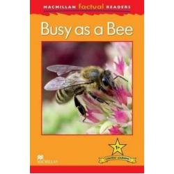 Busy as a Bee