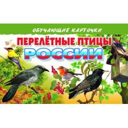 Перелетные птицы России