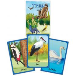 Карточки Птицы
