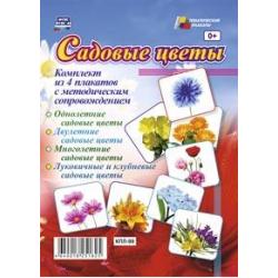 Садовые цветы. Комплект из 4 плакатов с методическим сопровождением. ФГОС