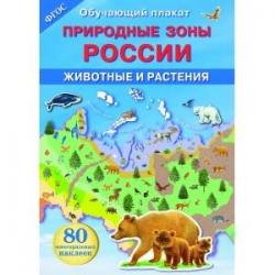 Обучающий плакат Природные зоны России. Животные и растения