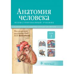Анатомия человека. Том 2. Спланхнология и сердечно-сосудистая система