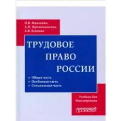 Трудовое право. Учебник для бакалавриата / Мацкевич О.В.